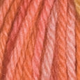 Queen Anne Wool of the Andes Tonal 10-Pack Full Bag