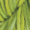 Springtime Wool of the Andes Tonal 10-Pack Full Bag
