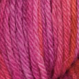 Summer Blooms Wool of the Andes Tonal 10-Pack Full Bag