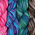 Wool of the Andes Handpaint Special Reserve