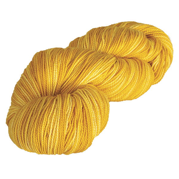 Hawthorne Fingering Kettle Dye Yarn - Color Compass 