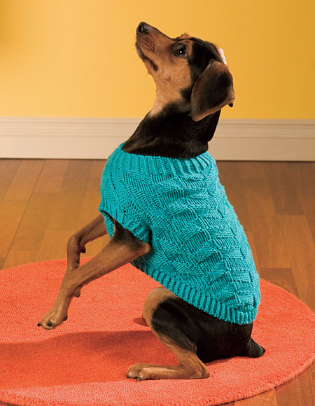 Diagonal Dog Sweater Pattern - Knitting Patterns and ...