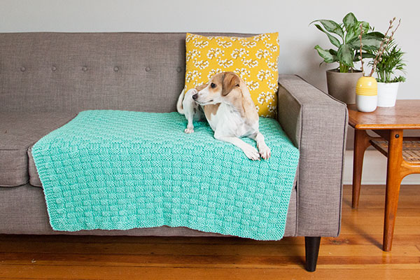 Comfort Knit Pet Blanket - Free Knitting Patterns