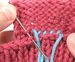 Whip Stitch