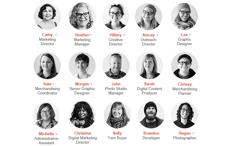 Meet the Team