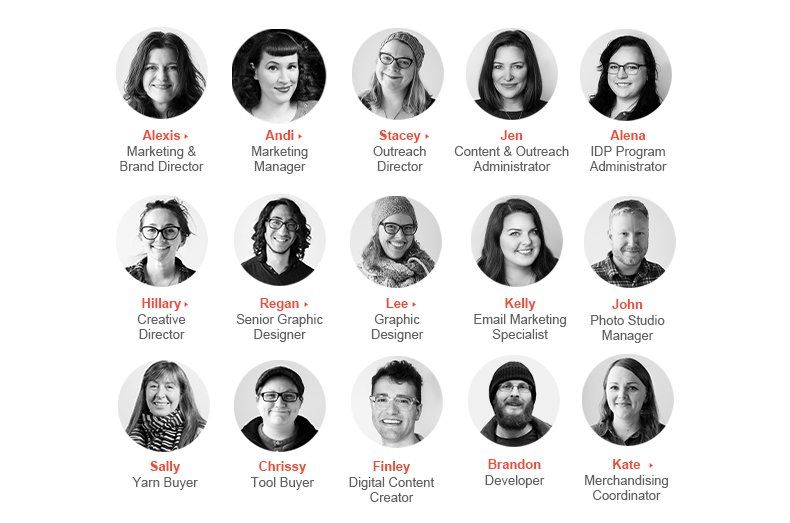Meet the Team