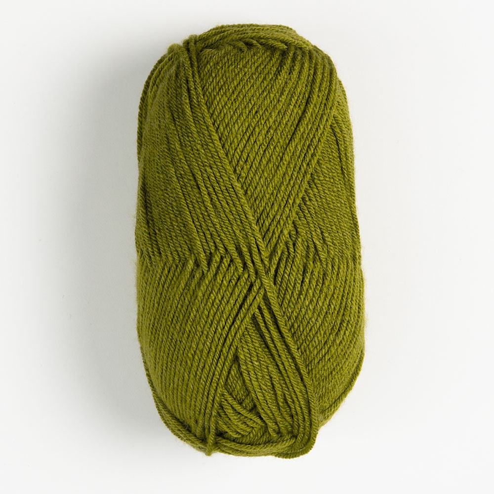 Brava worsted Avocado Yarn - Premium Quality at KnitPicks.com