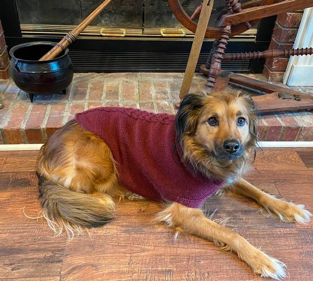 Daisy's Sweater - knitting pattern