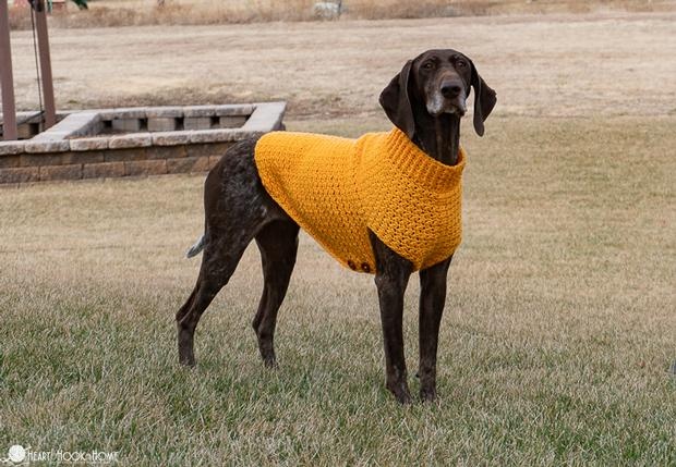 Large Dog Sweater