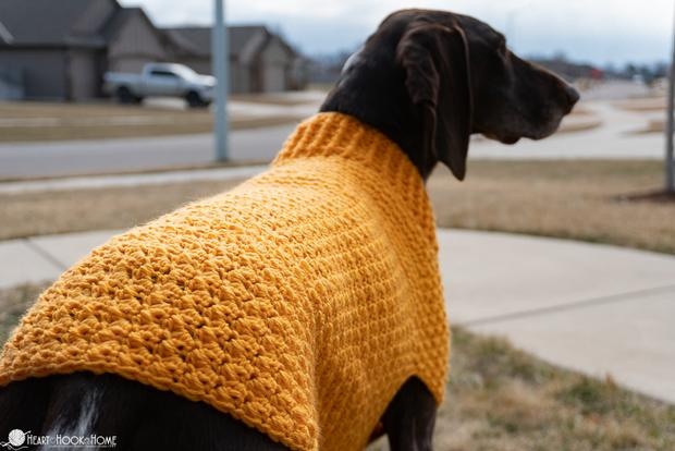 Dog sweater for outlet large dog