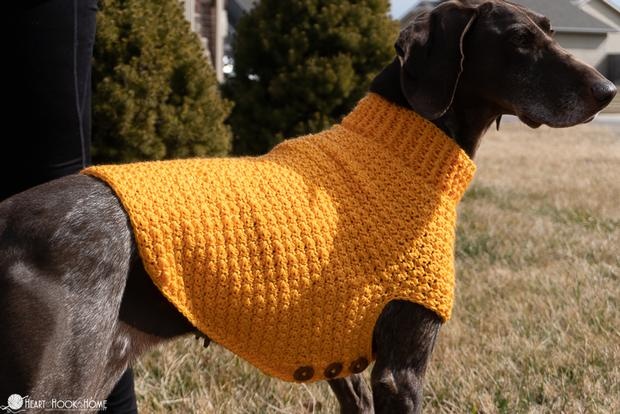 Dog sweater hot sale for large dog