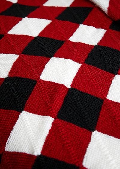 Buffalo Check Blush Plush Blanket