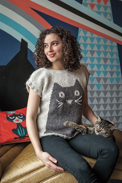 Professor Meow Pullover - knitting pattern