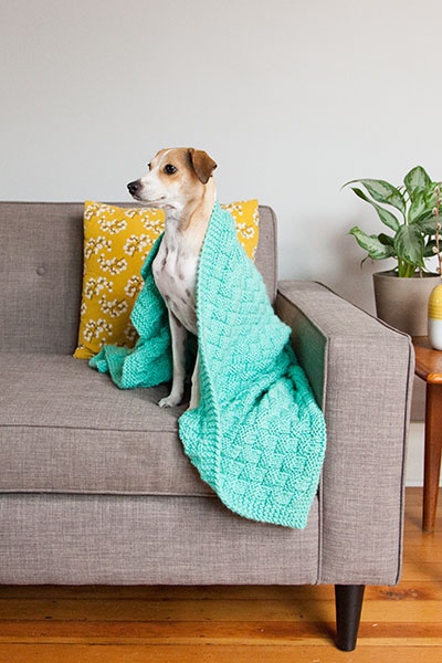 EASY KNIT DOG BLANKET TUTORIAL