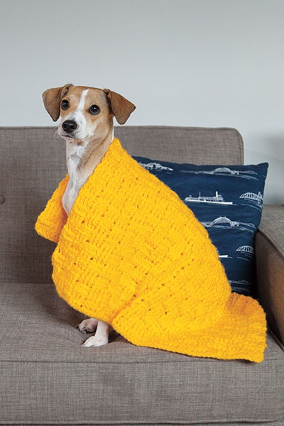 Comfort Crochet Pet Blanket - knitting pattern