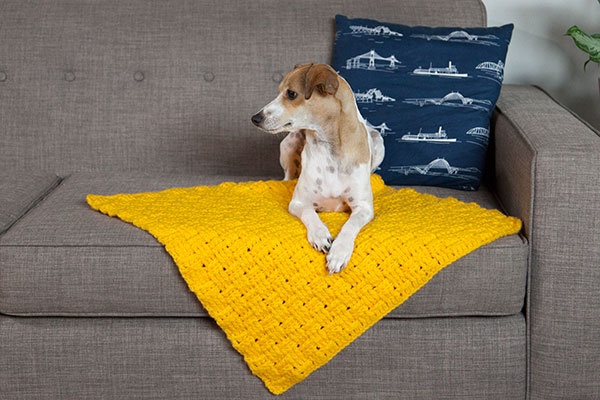 Comfort Crochet Pet Blanket Kit and Pattern Crochet