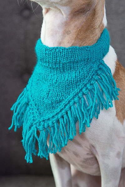 Dog scarf knitting outlet pattern