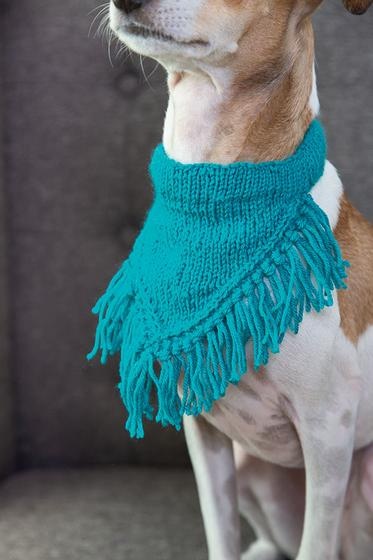 Knit dog collar hotsell