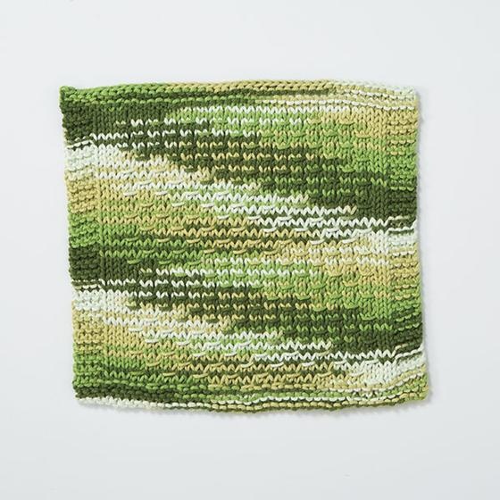 Cryptodira Dishcloth - knitting pattern