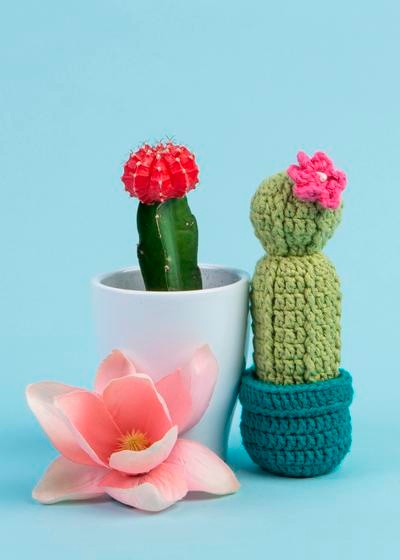 Mini Crochet Cactus - Lemon