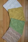 # 2 Really Reversible Dishcloths Set of 4 