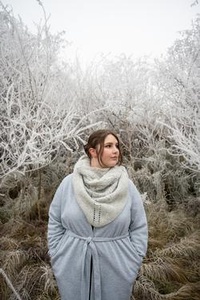 Snow Fern Shawl - knitting pattern