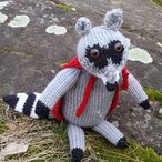 Roland the Raccoon Pattern