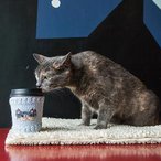 Cat-puccino Cup Cozies
