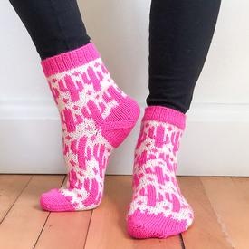 Saguaro Blossom Socks - knitting pattern
