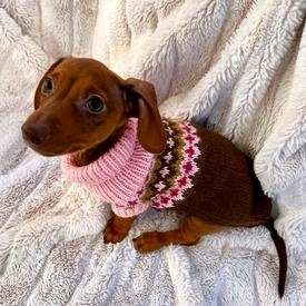 Dachsie Hug - knitting pattern