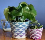 Pothos Holders