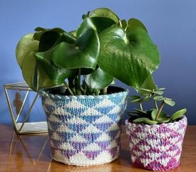 Pothos Holders