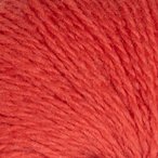 Rose Hip