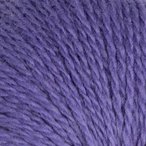 Aster
