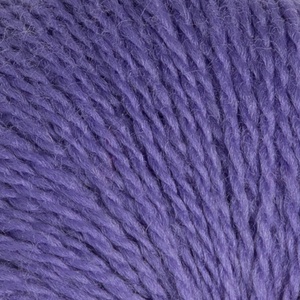 Aster
