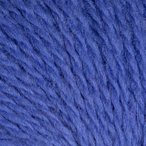 Chicory