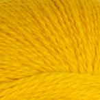 Canary