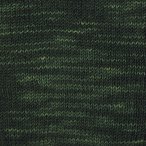Conifer