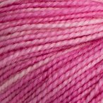 Camellia
