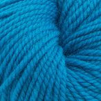 Mountain Bluebird