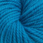 Mountain Bluebird