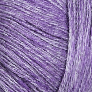 Sabrewing