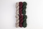 Wool of the Andes Bulky Value Pack - Garland