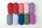 Wool of the Andes Worsted Value Pack - Winter 2023