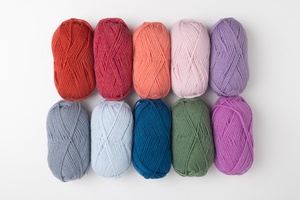 Wool of the Andes Worsted Value Pack - Winter 2023