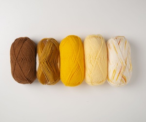 Brava Worsted Value Pack - Mellow Yellows