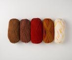 Brava Worsted Value Pack - Rusty Oranges
