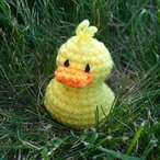Lil' Ducks Crochet Pattern