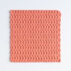 Little Leaves Crochet Dishcloth Pattern 