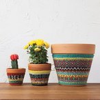 Plant Cozies Pattern